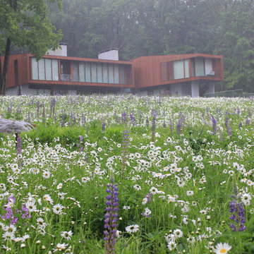 Landscape Field of Flowers in Litchfield County Connecticut