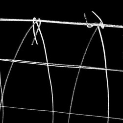 Wire #4 - Prints And Posters
