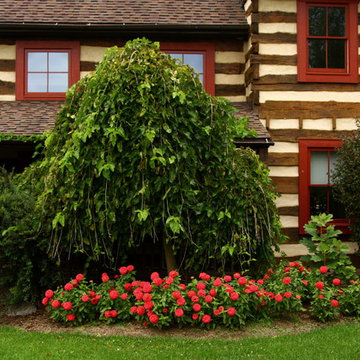 Outdoor Landscape & Botanical Photography