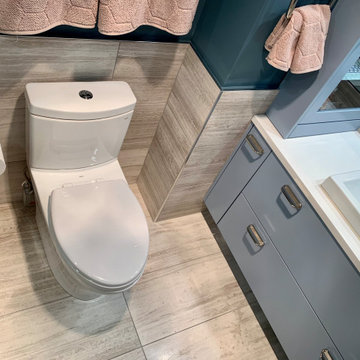 Rosslyn High-Rise Condo Total Remodel
