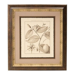 Black-and-White Floral-Print Framed Wall Art - Drawings And Illustrations