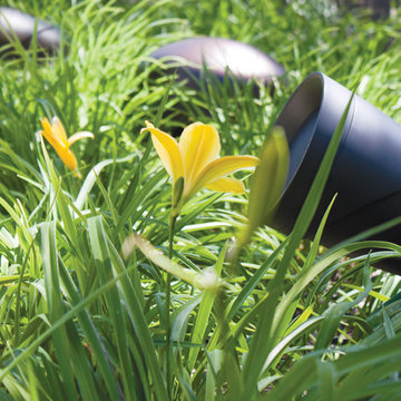 Landscape Speakers