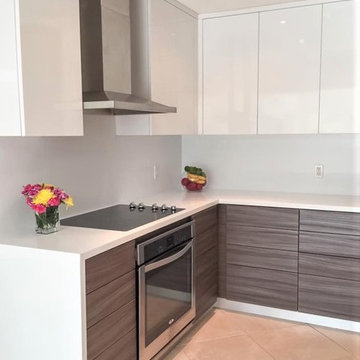 Coral Springs Renovation