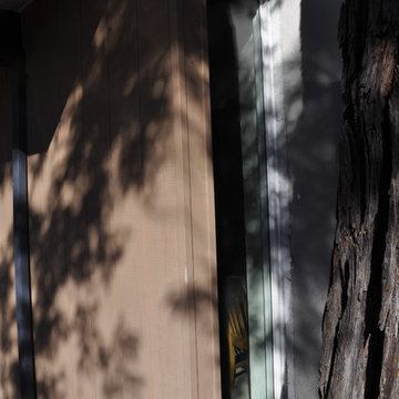 Eichler Home (Millbrae, CA)