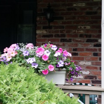 Misc. container garden pots