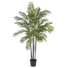 6' Areca Palm Silk Tree