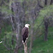 Denise McAlexander's photo