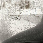 Kim Cairns's photo
