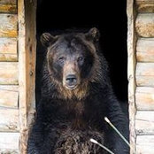 Cindy Troutwine's photo