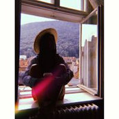 Alexandra Barcan's photo
