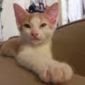 Emily Schiavone's photo
