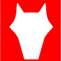 Fox Electrical Services llc
