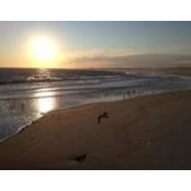 Jim Schneider's photo