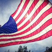 Timothy Powell's photo