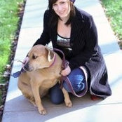 Kim Gilmour's photo