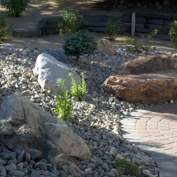 Xeriscape Renovation