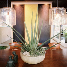 INTERIOR PLANTS