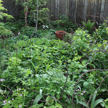 Native Plant Gardens