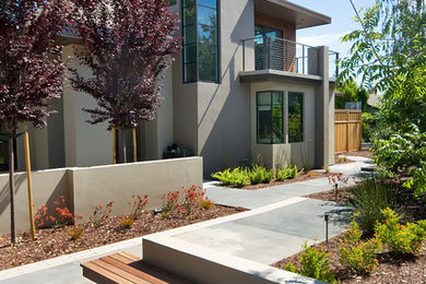 This is an example of a contemporary landscaping in San Francisco.