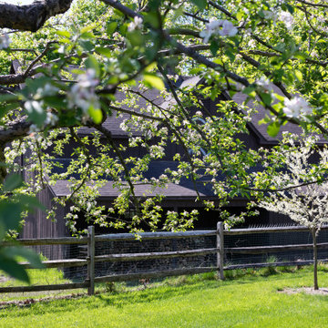 Country Fruit Tree Pruning