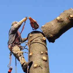 Tree Removal - Outdoor Products