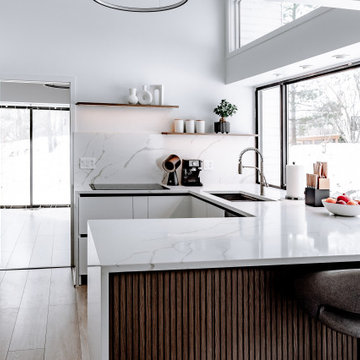 Swedish-Style Kitchen in Michigan