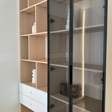 Custom Built-In Display Cabinet with LED Lighting | Modern Storage Design
