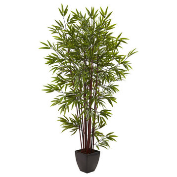 6' Bamboo Silk Tree With Planter