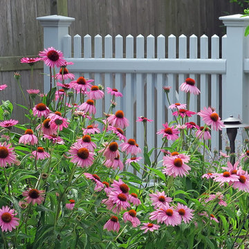 Pollinator Garden Rooms