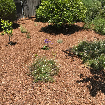 Landscape and Mulch Installations