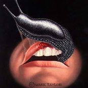 David Rodgers's photo