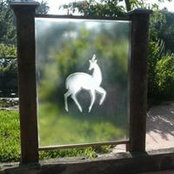 Kathleen Morgan's photo