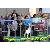 Alvin Tingle's photo