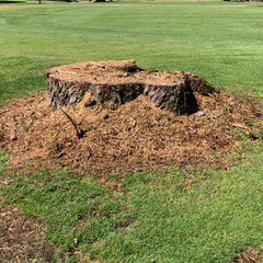 STC STUMP GRINDING LLC