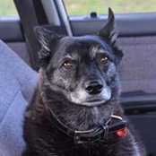 Rosie Memery's photo