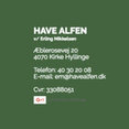 Have Alfens profilbillede