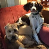 Sandy Emery's photo