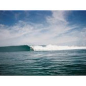George Reavis's photo