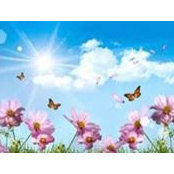Marion Serrano's photo