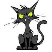 Alison Goheen's photo