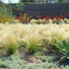 Landscape Arrangements