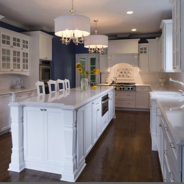 Lake forest kitchen remodeling