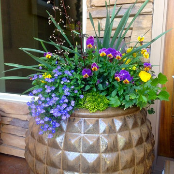 Spring Container Planting
