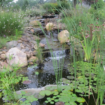 Ponds & Streams