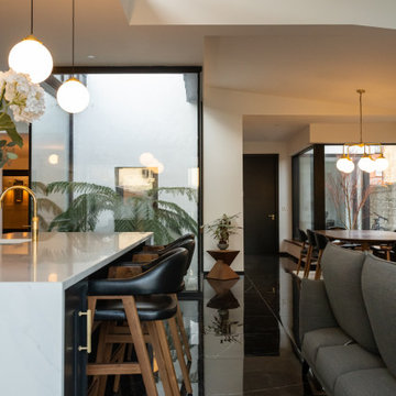 Dublin Period Home Reimagined for Contemporary Living