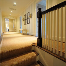 Hallway / Landing