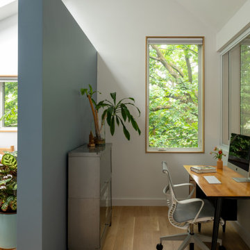 Canopy House