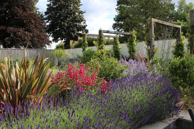 This is an example of a modern garden in Dorset.
