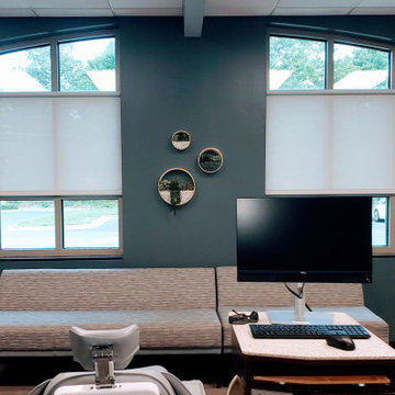 Roller Shades