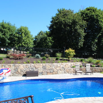 Complete Backyard Remodel